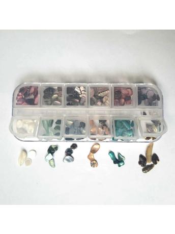 12'li Deniz Kabuğu Set No:2