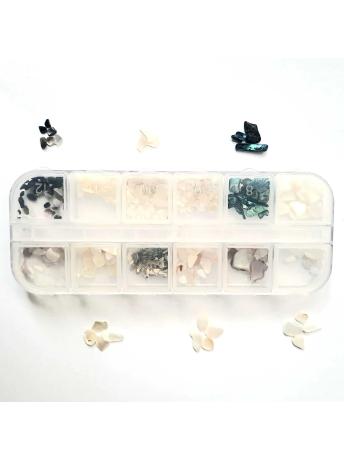 12'li Deniz Kabuğu Set No:3