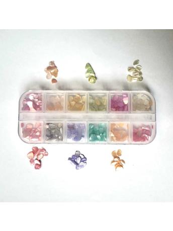 12'li Deniz Kabuğu Set No:4