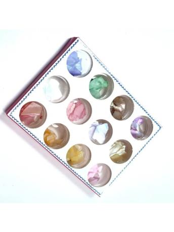 Deniz Kabuğu 12’li D-4