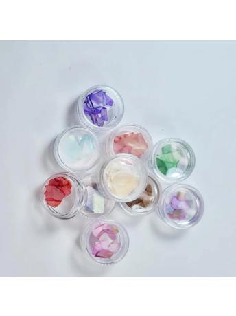 Deniz Kabuğu 12’li D-4